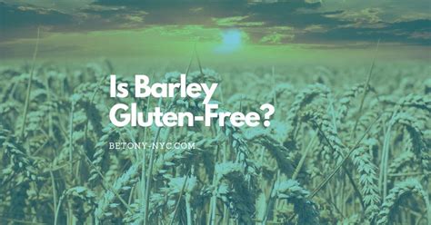 is barley gluten free uk